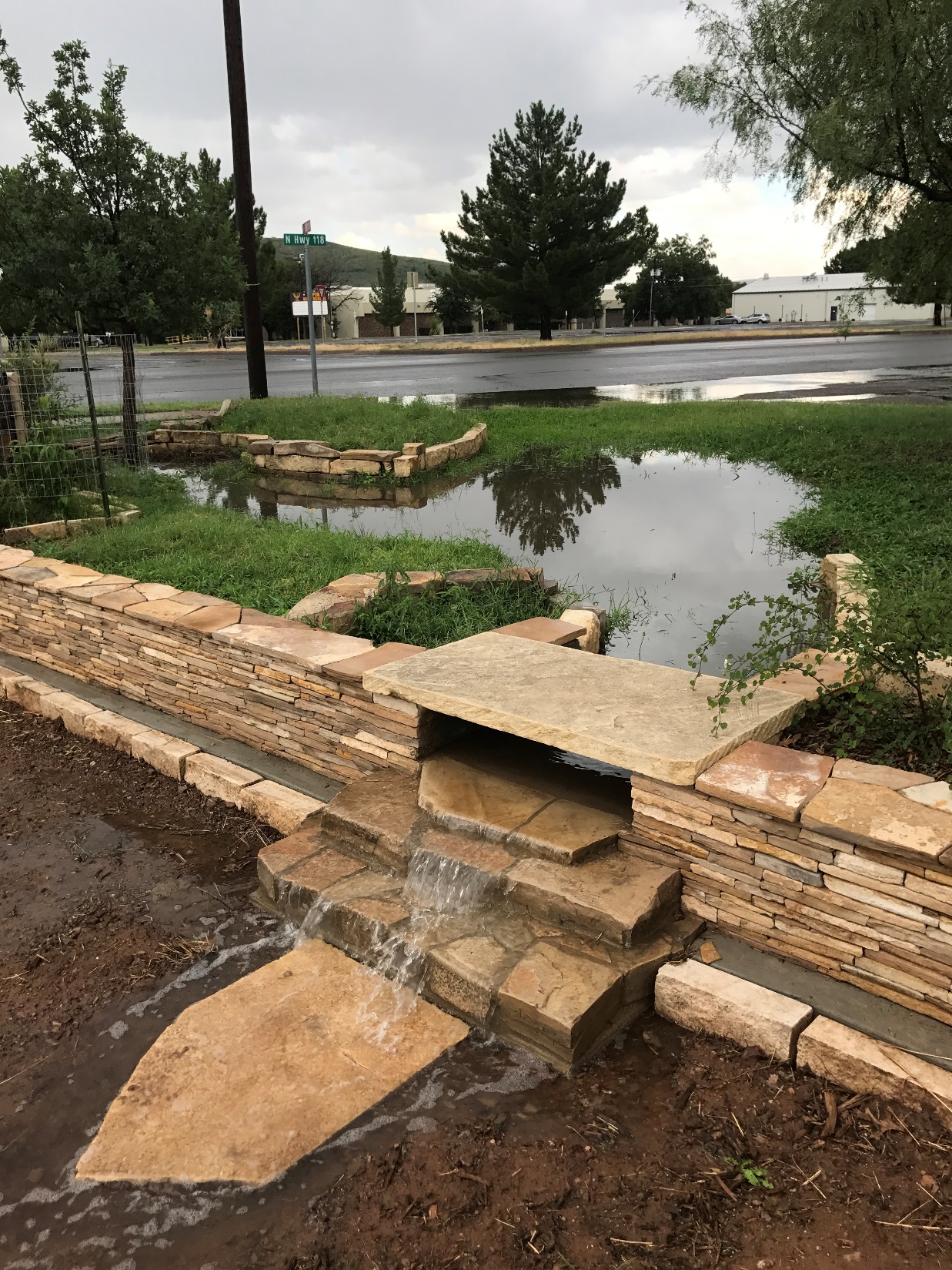 View of the waterfall feature in the garden.